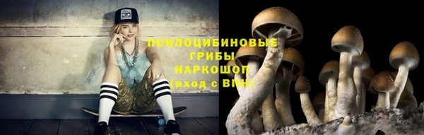 твердый Алексеевка
