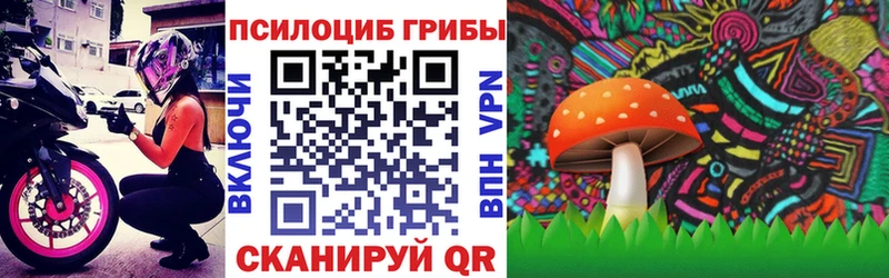 Псилоцибиновые грибы мицелий mega как войти Могоча